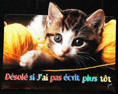 ►   Decoupis Moderne  - Chat - French Cat   Imp. Paris - Animaux