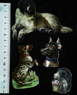 ►   Decoupis XIXeme  - Lot 5  Chiens    (Dog Hund) - Animali