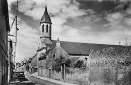 COURSEULLES-SUR-MER - L'Eglise - CPSM PF - Courseulles-sur-Mer