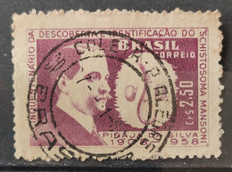 C 445 Brazil Stamp 50 Years Discovery Protozoan Schistosoma Mansoni Piraja Da Silva Health Science 1959 Circulated 6 - Autres & Non Classés