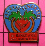 SP15 Pin's Pins / Beau Et Rare / THEME : MARQUES /PARESSE TENDRESSE 1er HAMAC D'OR SAINT BARTH 1992 - Informatique