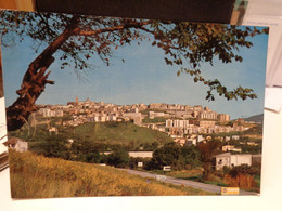 4 Cartoline Catanzaro Anni 70,saluti Da, Lido Di Copanello, Rione S.Leonardo Con Giardenetti Pubblici. - Catanzaro
