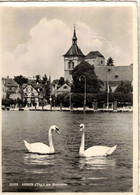 ARBON  (SVIZZERA) - Arbon