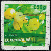 Luxembourg 2018 Oblitéré Used Fruits Duederer Variété De Prune SU - Usados