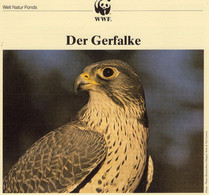 Falken Dokumentation 1992 Set 136 ICELAND 776/9 **, 4MC+ FDC 26€ WWF Gerfalke Naturschutz Fauna Birds Falco Of Wild-life - Storia Postale