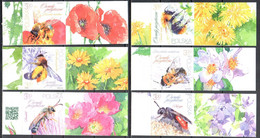Poland 2021 - Beneficial Insects - Mi.5292-97B - Imperforated + Label -  MNH(**) - Nuevos