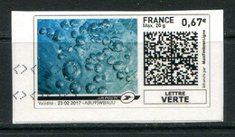 FRANCE - Montimbrenligne LETTRE VERTE Max 20g (sur Fragment) - Francobolli Stampabili (Montimbrenligne)