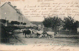 Tellin Rue De L'Hotel Voyagé En 1903 - Tellin