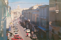 Cartolina - Minervino Murge ( Barletta-Andria-Trani ) - 1980 Ca. - Bari