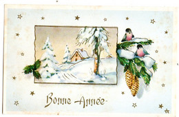 Bonne Année--Nouvel An--mignonnette..--Village Sous Neige --illustrateur  ????? ( Oiseaux ).. à Saisir - Nieuwjaar