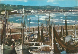 A6424 Fano (Pesaro Urbino) - Porto E Spiaggia - Panorama - Barche Boats Bateaux / Viaggiata 1968 - Fano