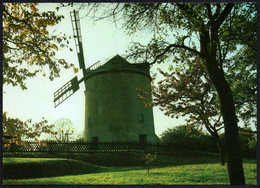 F1817 - TOP Syrau Windmühle - Bild Und Heimat Reichenbach - Syrau (Vogtland)