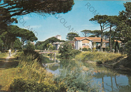 CARTOLINA  MILAMO MARITTIMA ,EMILIA ROMAGNA,CANALINO E VILLE IN PINETA,SPIAGGIA,LUNGOMARE,ESTATE,NON VIAGGIATA - Ravenna