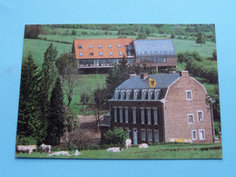 " Het VELTMANSHUIS Kwinten 36 -Sint-Martens-Voeren ( Ecodeux ) Anno 1991 ( Zie Foto's ) Detail VLAAMSE VLAG ! - Fourons - Vören