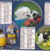 Almanach Du Facteur, Calendrier De La Poste, 2013, Côte D'Or, Belles Photos De Chatons Et De Chiots Espiègles Et Joueurs - Grand Format : 2001-...