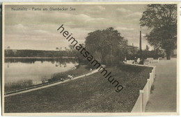 Neustrelitz - Glambecker See - Verlag Stengel & Co Dresden - Neustrelitz