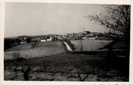 Montaut Les Crénaux * Panorama Du Village - Autres & Non Classés