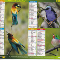 Almanach Du Facteur, Calendrier De La Poste, 2011, Côte D'Or, Oiseaux Exotiques: Tangora Gyrola, Souimanga, Guêpiers Etc - Grand Format : 2001-...