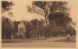 Carte Postale Afrique Congo Avenue De Tabora à Lubumbashi Elisabethville - Lubumbashi