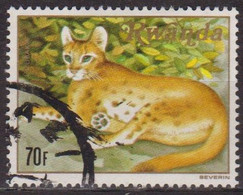 Faune Sauvage - RUANDA - RWANDA - Chat Doré Africain - N° 1006 - 1981 - Used Stamps