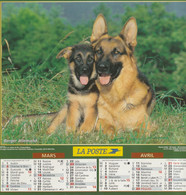 Almanach Du Facteur, Calendrier De La Poste, 2003, Côte D'Or, Bergers Allemands, Chevaux - Grand Format : 2001-...