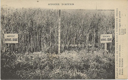 VENISSIEUX - RHONE - ESSAI A LA FERME DES USINES BERLIET - 1928 - Vénissieux