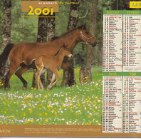 Almanach Du Facteur, Calendrier De La Poste, 2001, Côte D'Or, Chevaux, Poulain - Grand Format : 2001-...