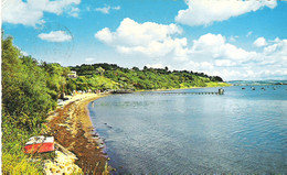 CASTLE COVE, WEYMOUTH, DORSET, ENGLAND. USED POSTCARD Qq8 - Weymouth