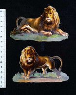 ► Lot 2 Decoupis XIXeme -   Lion D'Afrique Coloniale - Animals