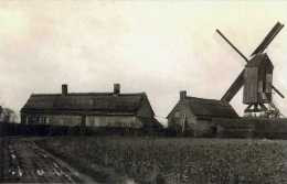 MOORSELE - Wevelgem (W.Vl.) - Molen/moulin - De Verdwenen Oude Molen Of Molen Ballock Opgezeild En In Werking - Wevelgem