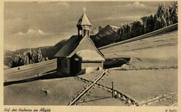 Auf Der HOCHWIES Im ALLGÄU - Sonthofen