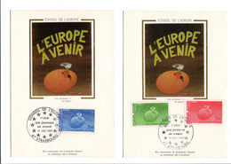 1985 – Conseil De L'Europe - Une Jeunesse Un Avenir  -   2   Cartes Maxi - Sonstige & Ohne Zuordnung