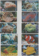 BRASIL 2001 FISH CORAL POLYPS 10 PHONE CARDS - Fish