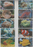 BRASIL 2001 FISH CORAL POLYPS 10 PHONE CARDS - Peces