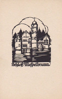 AK Schloß Mespelbrunn - Scherenschnitt A. M. Schwindt - Ca. 1920 (56294) - Aschaffenburg