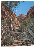 (QQ 5) Australia - NT - Standley Chasm - The Red Centre