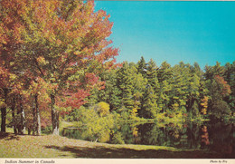 A5808- Nature's Art Gallery, Canadian Indian Summer, Alberta Canada Postcard - Other & Unclassified