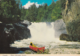 A5810- Land Of Ruggeb Beauty, Tumbling Water, Green Woods, Waterfall Forest Alberta Canada Postcard - Other & Unclassified