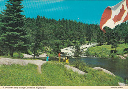 A5812- Canadian Highways, Green Forest, Canadian Flag Alberta Canada Postcard - Otros & Sin Clasificación
