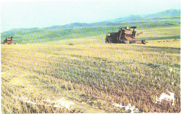 Harvesters On Field, 1970 - Traktoren