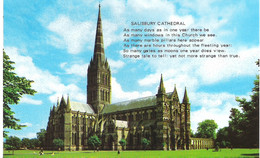 SALISBURY CATHEDRAL, WILTSHIRE, ENGLAND. UNUSED POSTCARD Qw6 - Salisbury