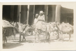 Real Photo Women Riding Donkey . Ane - Haïti