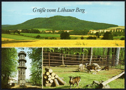 F1977 - TOP Löbau Löbauer Berg Aussichtsturm - Bild Und Heimat Reichenbach - Loebau