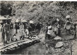 CPSM - Format 10,5 X 15 Cm - édit. Inconnu - MACENTA - Passage De La Makona - Guinée