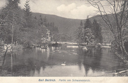 5324) BAD BERTRICH - Partie Am SCHWANENTEICH - Tolle Sehr Alte AK 1908 - Bad Bertrich