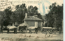 Auch * Attelages De Boeufs Gascons * Rue De La Commune * Voir Cachet 9ème Régiment - Auch