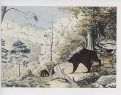 Ours De Deninger (ursus)  Ancêtre De L'ours Des Cavernes Site De La Caune De L'Arago (66 France) 550 000 Ans (tautavel) - Bears