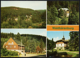 F2010 - TOP Bärenburg OT Waldbärenburg FDGB Heim  HO Gaststätte Riedelmühle - Bild Und Heimat Reichenbach - Dippoldiswalde