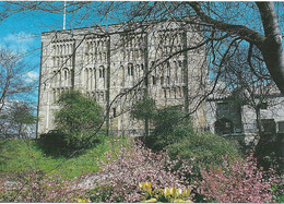 NORWICH CASTLE, NORWICH, NORFOLK, ENGLAND. UNUSED POSTCARD  Fd8 - Norwich