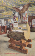 Spokane Washington, Chamber Of Commerce Exhibit Hall, Wood, Produce, Bird, C1910s Postcard - Spokane